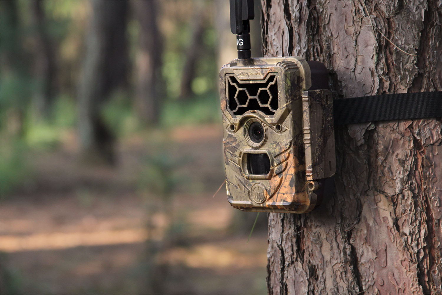 Trail Camera